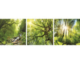 Set 3 Tablouri Canvas Green Impressions, 3x 50x50 Cm