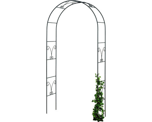 Arc Trandafiri Saphira, 38x130x240 Cm