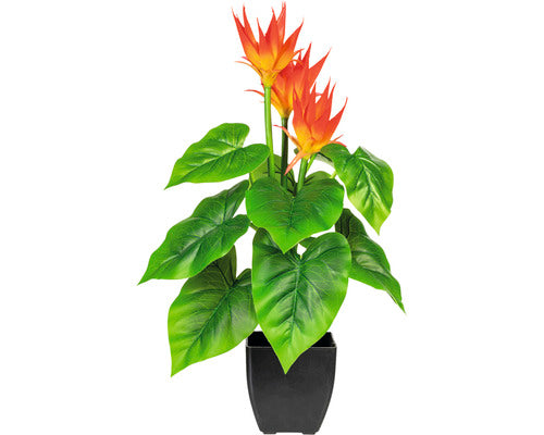 Planta Artificiala Guzmania 3 Tije In Ghiveci H 58 Cm Verde