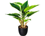 Planta Artificiala Crin De Toamna Hosta In Ghiveci H 35 Cm Verde