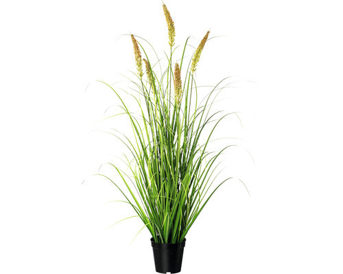 Planta Artificiala Iarba Decorativa Pennisetum In Ghiveci H 97 Cm Verde