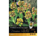 Bulbi De Flori Premium Fritilaria Michailovskyi Multiflora 8 Buc