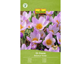 Bulbi De Flori Floraself Branduse Firefly 5/7 15 Buc