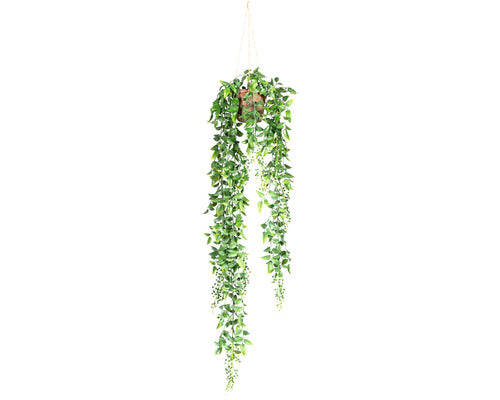 Planta Artificiala Ruscus Suspendat H 70 Cm Verde