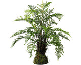 Planta Artificiala Feriga Pe Muschi H 70 Cm Verde