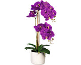 Planta Artificiala Orhidee Fluture Phalaenopsis In Vas H 60 Cm Lila