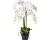 Planta Artificiala Orhidee Fluture Phalaenopsis In Ghiveci H 90 Cm Alb