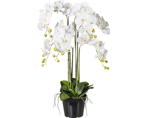 Planta Artificiala Orhidee Fluture Phalaenopsis In Ghiveci H 90 Cm Alb