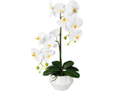 Planta Artificiala Orhidee Fluture Phalaenopsis In Ghiveci H 52 Cm Alb