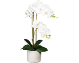 Planta Artificiala Orhidee Fluture Phalaenopsis In Vas H 60 Cm Alb