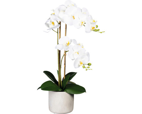 Planta Artificiala Orhidee Fluture Phalaenopsis In Vas H 60 Cm Alb