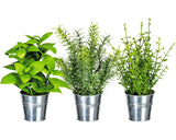Planta Artificiala Mix Plante Aromatice In Ghiveci H 25 Cm Verde