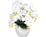 Planta Artificiala Orhidee Fluture Phalaenopsis In Vas Ceramic H 56 Cm Alb