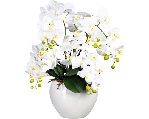 Planta Artificiala Orhidee Fluture Phalaenopsis In Vas Ceramic H 56 Cm Alb