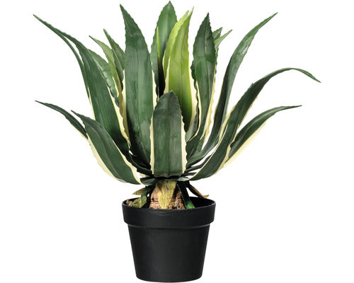 Planta Artificiala Agava Americana 'Variegata' In Ghiveci H 60 Cm Verde