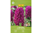 Bulbi Zambila Floraself Woodstock 15/16 5 Buc