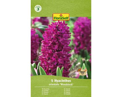 Bulbi Zambila Floraself Woodstock 15/16 5 Buc