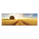 Tablou canvas 150x50cm - Wheat Fields