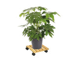 Suport Rulant Plante Wagner Bamboo, Bambus, 29x29 Cm, Capacitate Portanta 100 Kg