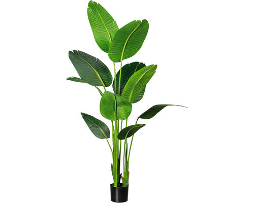 Planta Artificiala Sterlitzia Nicolai In Ghiveci H 160 Cm Verde