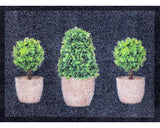 Covoras Intrare Creation Garden Antracit 50x70 Cm