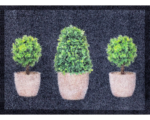 Covoras Intrare Creation Garden Antracit 50x70 Cm