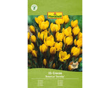 Bulbi De Flori Floraself Branduse Dorothy 5/7 15 Buc