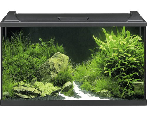 Acvariu Eheim Aquapro 126 Cu Iluminare Led, Filtru, Incalzitor, Minciog, Fara Dulap Inferior Inclus