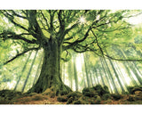 Tablou Canvas Green Giant 100x150 Cm