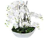 Aranjament Artificial Orhidee Phalaenopsis In Vas H 68 Cm Alb