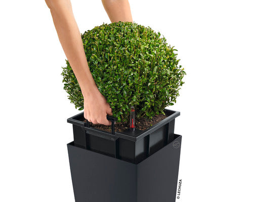 Ghiveci Lechuza Classico Cubic 56x30 Cm Antracit