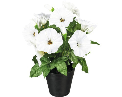 Planta Artificiala Petunie In Ghiveci H 28 Cm Alb