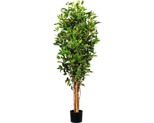 Planta Artificiala Feriga Benjamina In Ghiveci H 150 Cm 1056 Frunze Verde