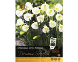 Bulbi Narcise Premium Petticoat Albe 6 Buc