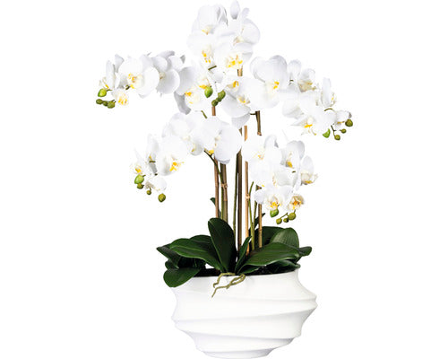 Planta Artificiala Orhidee Fluture Phalaenopsis H 75 Cm Alb