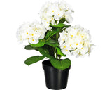 Planta Artificiala Hortensie In Ghiveci H 32 Cm Alb