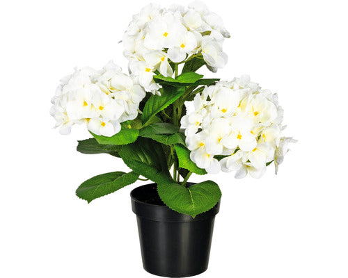 Planta Artificiala Hortensie In Ghiveci H 32 Cm Alb