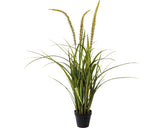 Planta Artificiala Iarba Miscanthus H 90 Cm Verde