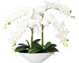 Planta Artificiala Orhidee Fluture Phalaenopsis In Ghiveci H 53 Cm Alb