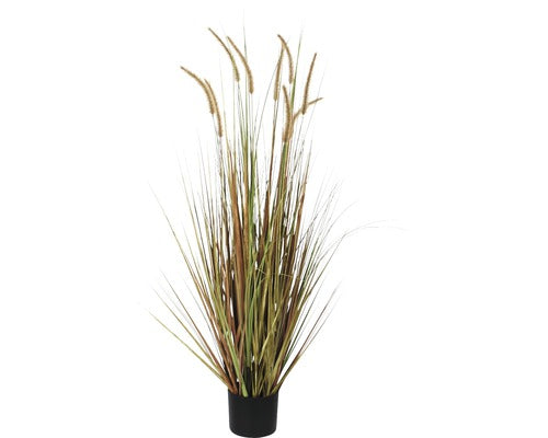 Planta Artificiala, Stipa Dogtail, Verde