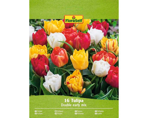 Bulbi De Lalele Floraself Mix 11/12 16 Buc