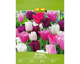 Bulbi De Lalele Floraself Spring Bliss Mix 11/12 20 Buc