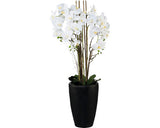 Aranjament Artificial Orhidee Phalaenopsis In Vaza H 120 Cm Alb