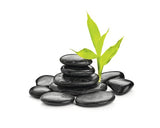 Tablou Sticla Stone & Plant Ii 20x20 Cm
