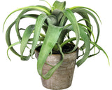 Planta Artificiala Tillandsia Xerographica In Ghiveci H 24 Cm Verde