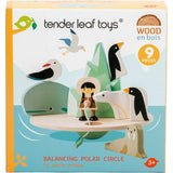 Set de joaca din lemn Tender Leaf Toys - Cercul polar in echilibru, 9 piese