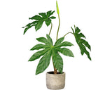 Planta Artificiala Aralia In Ghiveci H 60 Cm Verde