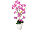Planta Artificiala Orhidee Fluture Phalaenopsis In Vas H 110 Cm Lila