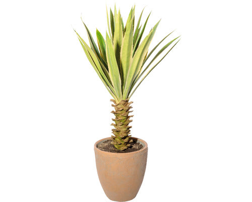 Planta Artificiala Yucca In Ghiveci H 75 Cm Verde