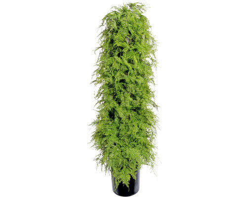 Planta Artificiala Feriga Asparagus In Ghiveci H 120 Cm Verde